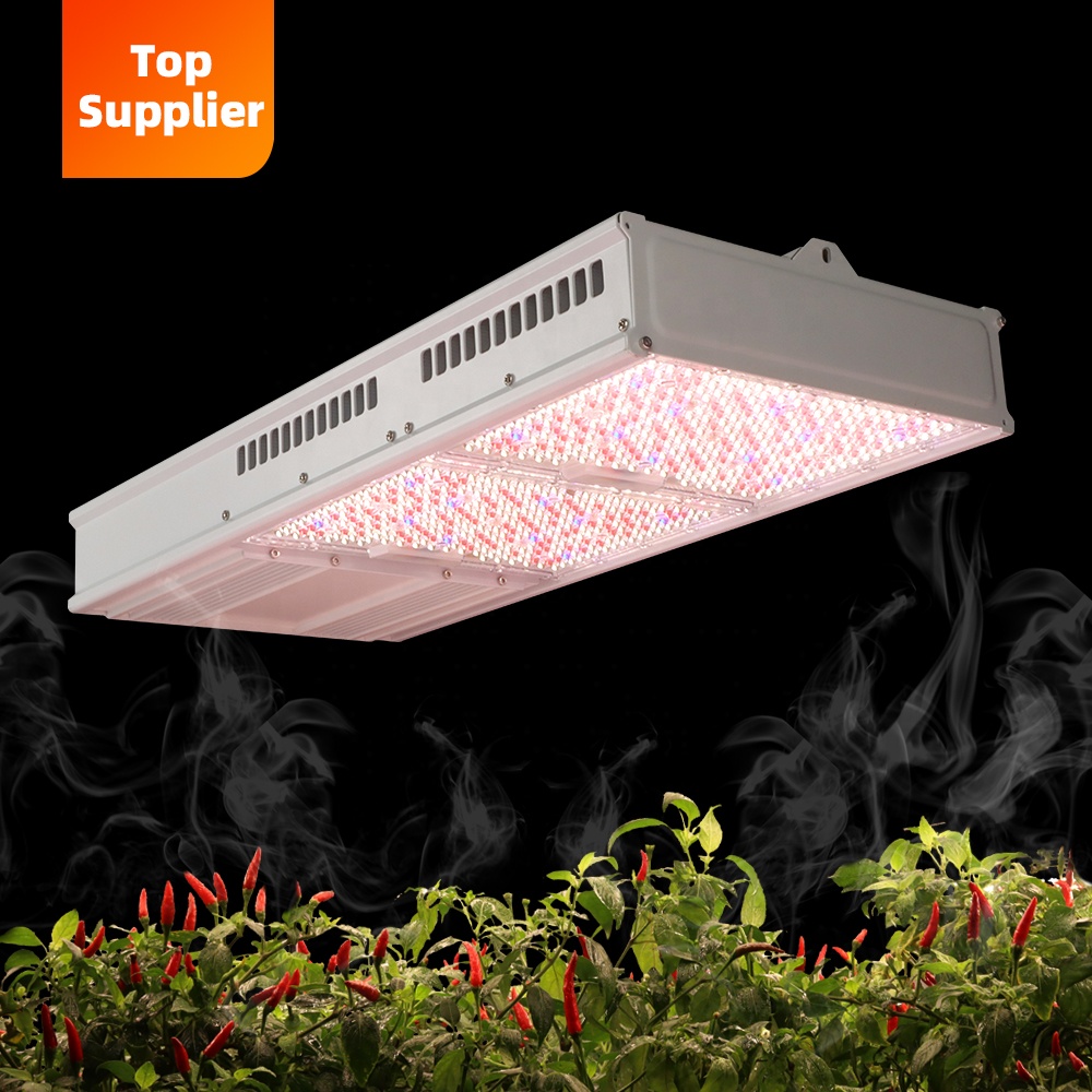 Indoor Plants - Kostengünstige 600W 800W Toplight Vollspektrum LED-Pflanzenlampe