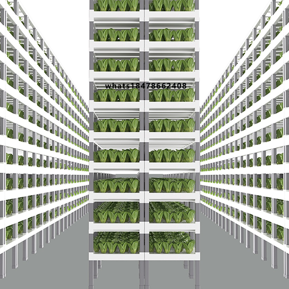 Indoor Plants - App-gesteuertes intelligentes Hydroponik-System für Indoor-Vertikalfarmen, modulares