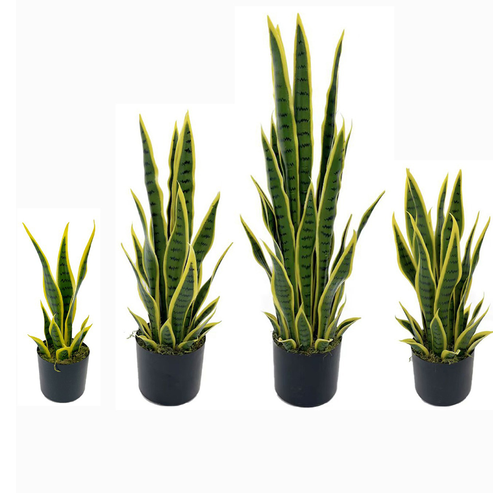 Snake Plant - 40-100cm Künstliche Sansevieria Schlangenpflanze mit Schwarzem