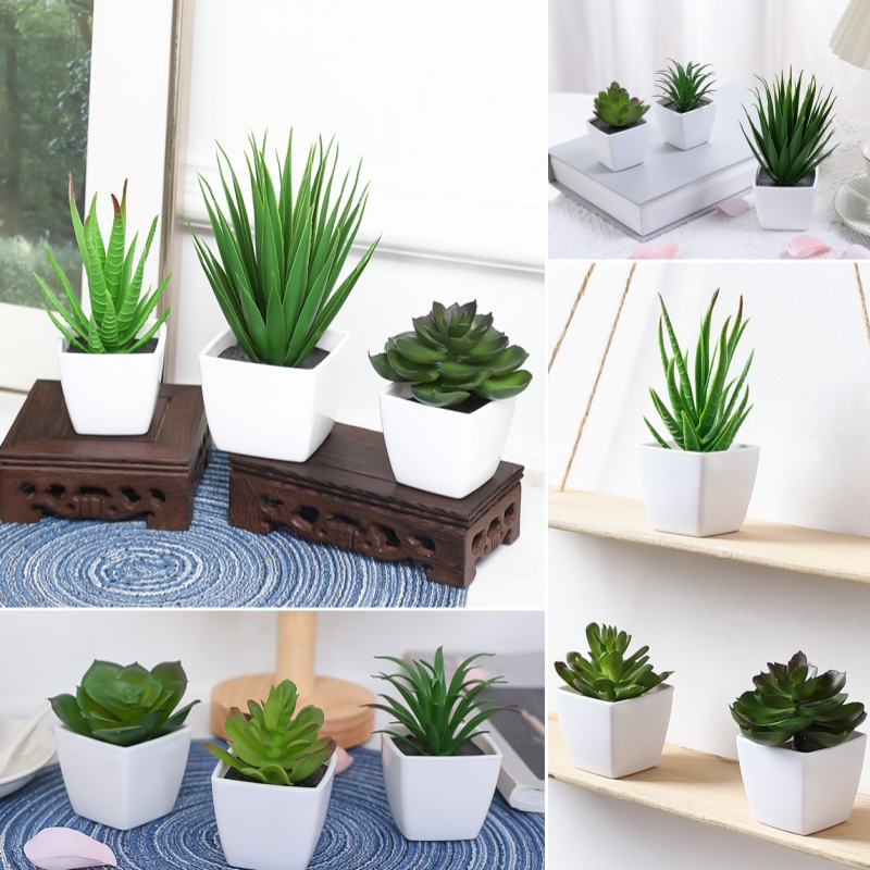 Succulent Set - (Ein Satz mit 3 Stück) Simulierte