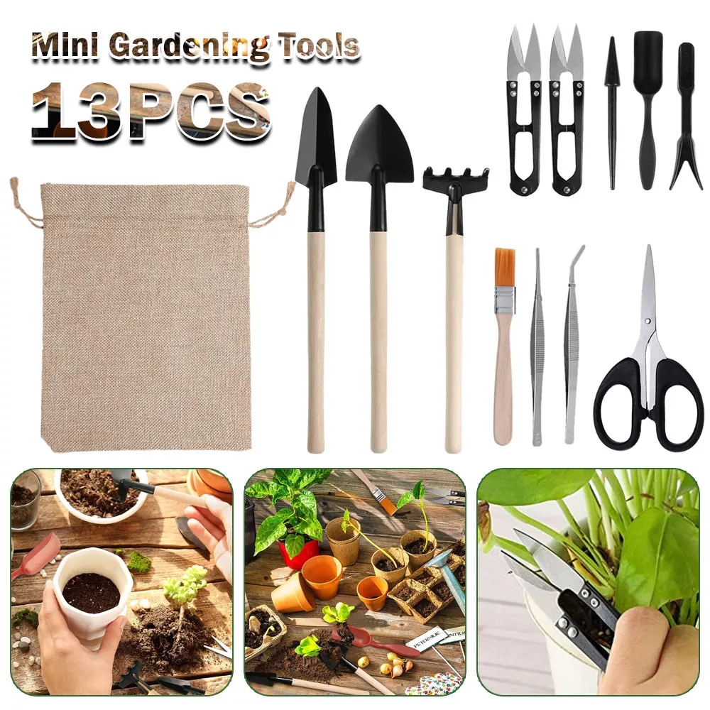 Succulent Set - 13 Stück Sukkulenten Werkzeugset für Zimmer
