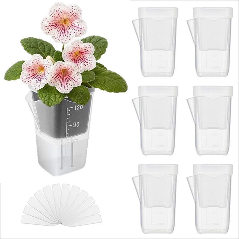 Pothos - 16/32er-Pack Selbstbewässernde Pflanzgefäße – Transparente Hydroponik-Töpfe