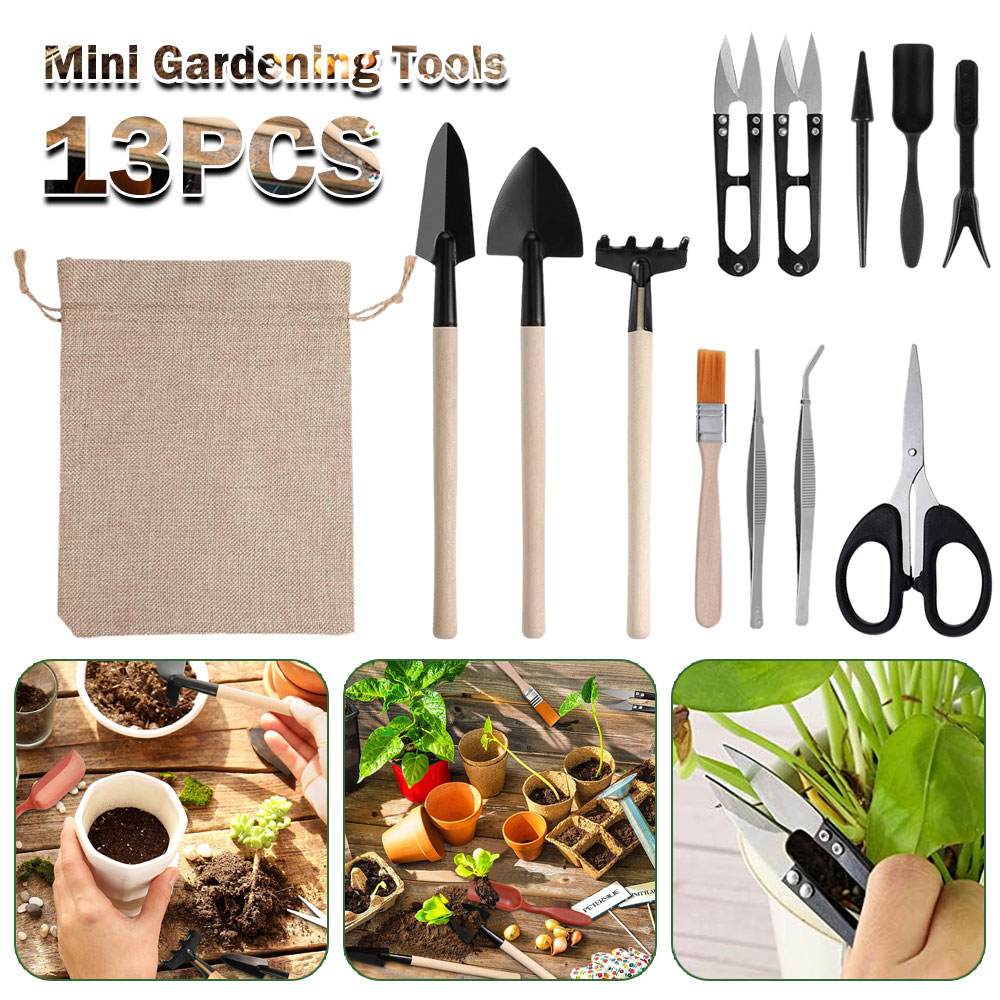Succulent Set - Sukkulenten Werkzeuge Mini Garten Handwerkzeuge Umpflanzen