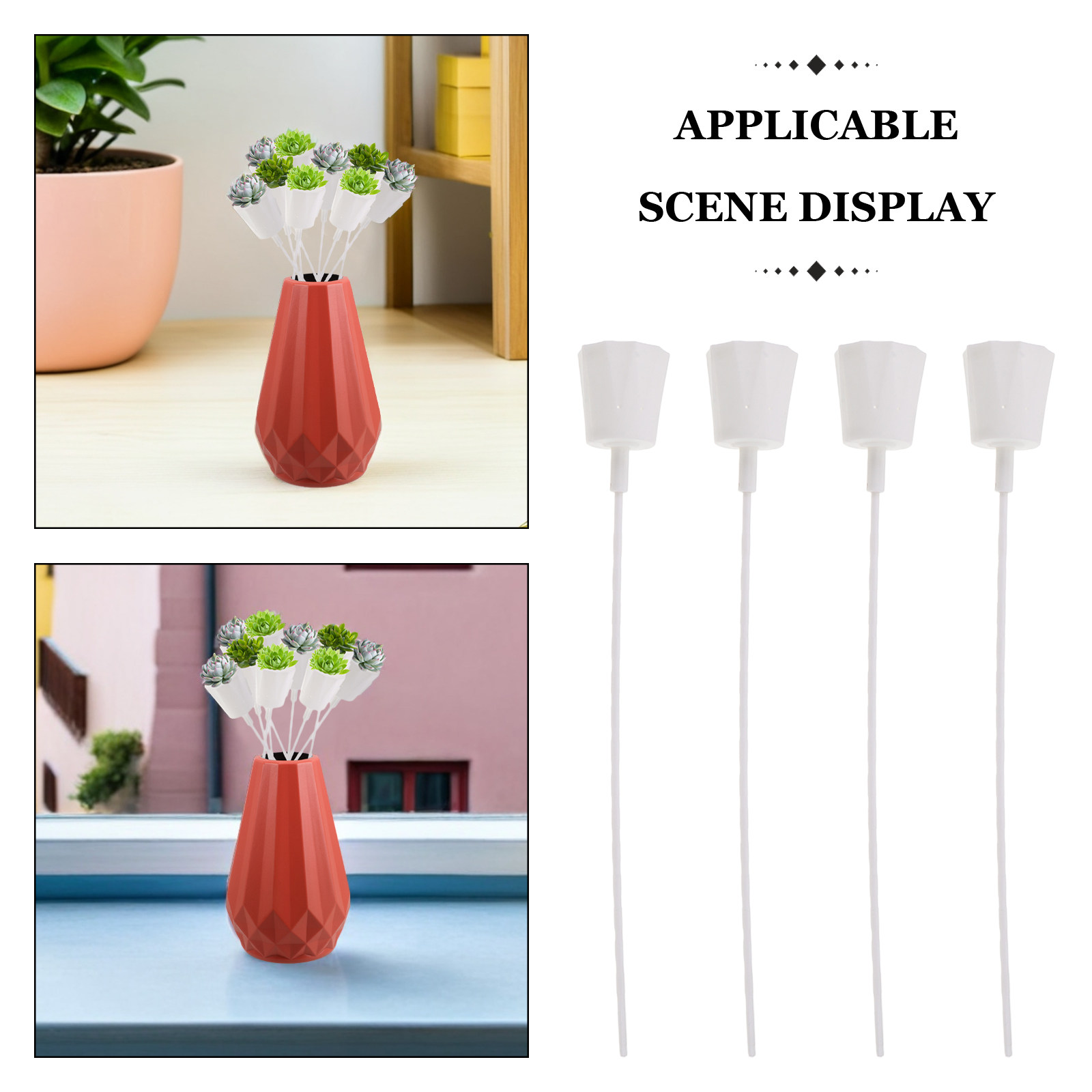 12 Sets Mini-Sukkulenten-Blume – Succulent Set Bewertung und Preis