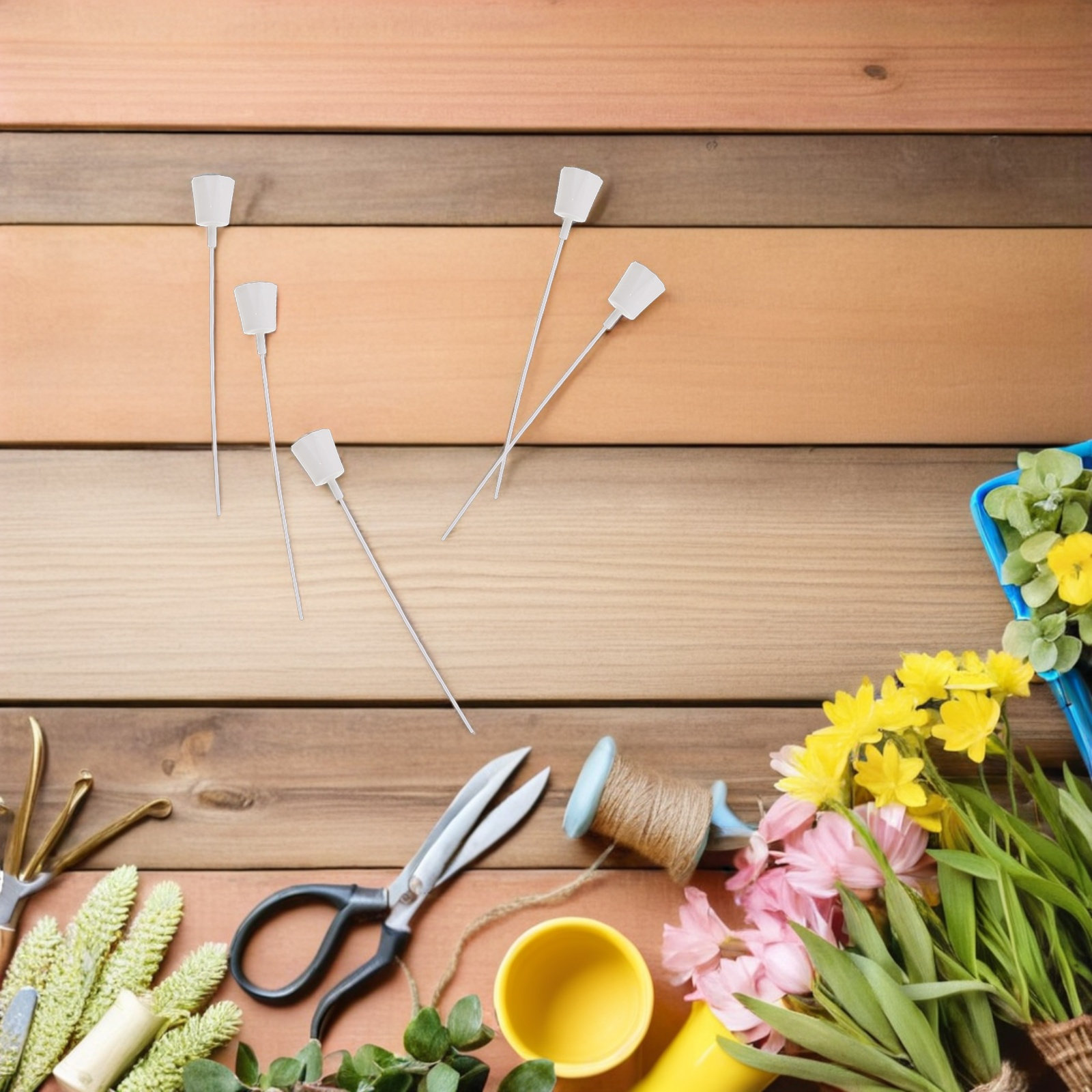 12 Sets Mini-Sukkulenten-Blume – Succulent Set Bewertung und Preis