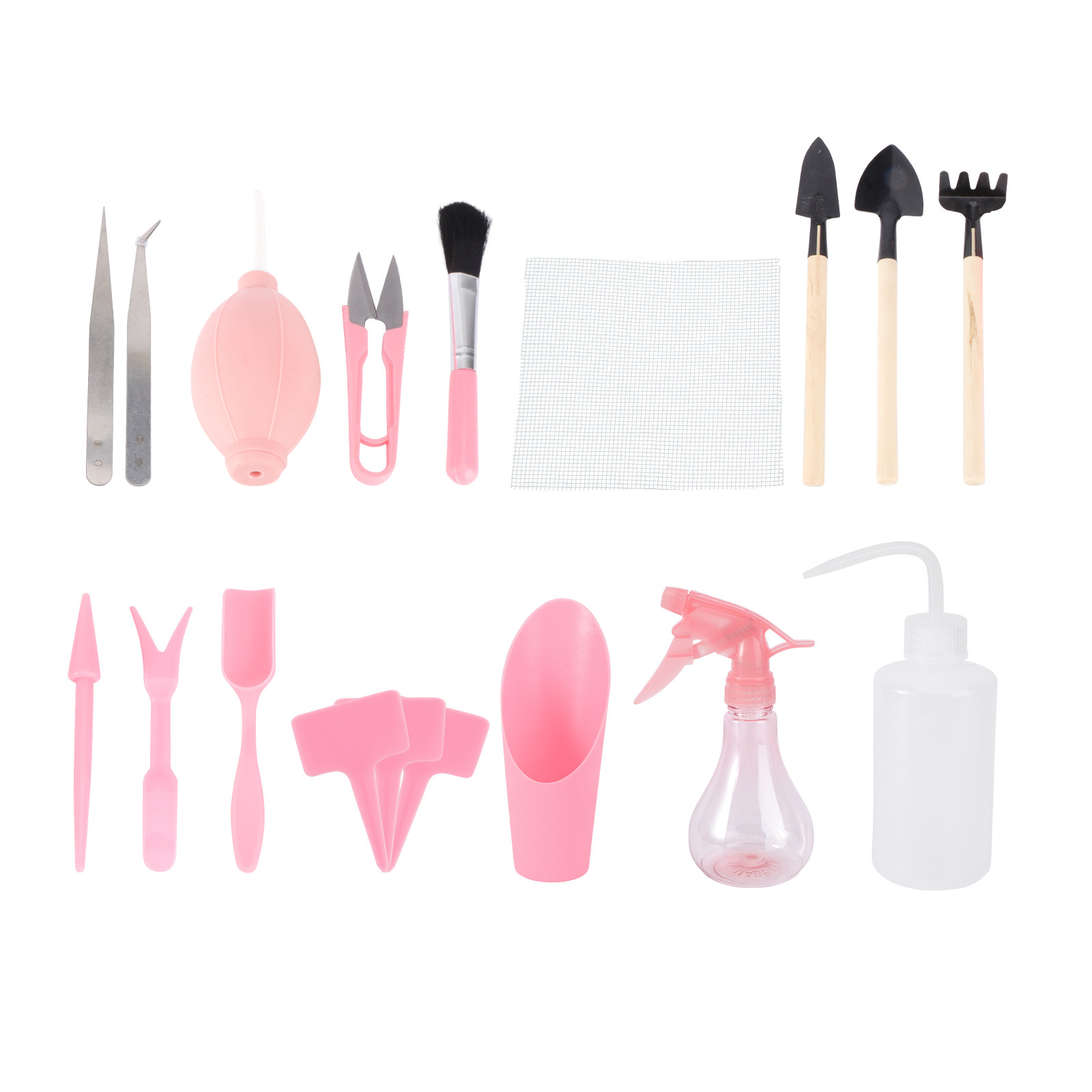 1 Set Mini-Sukkulenten-Pflanzw – Succulent Set Bewertung und Preis