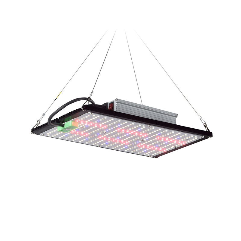 LED-Quantum-Board-Pflanzenlamp – Indoor Plants Bewertung und Preis