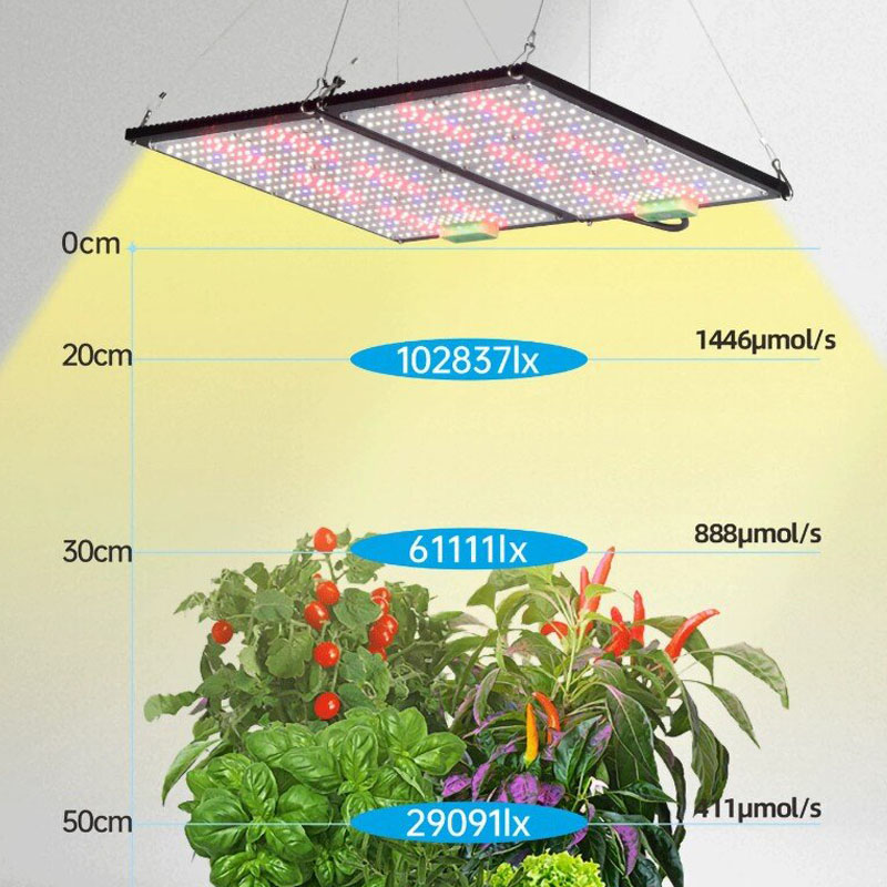 LED-Quantum-Board-Pflanzenlamp – Indoor Plants Bewertung und Preis