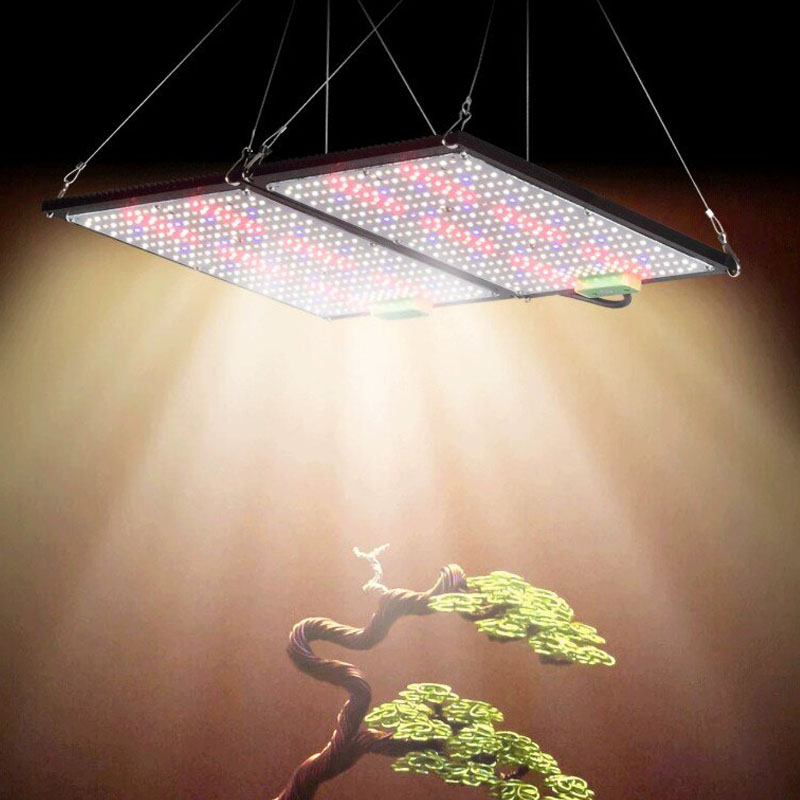 LED-Quantum-Board-Pflanzenlamp – Indoor Plants Bewertung und Preis
