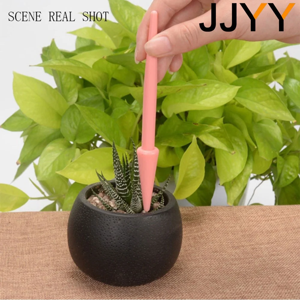 4-teiliges Mini-Sukkulenten-Pf – Succulent Set Bewertung und Preis