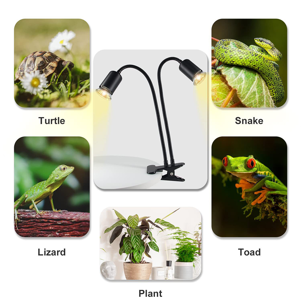 Reptilien-Wärme lampe rotieren – Snake Plant Bewertung und Preis
