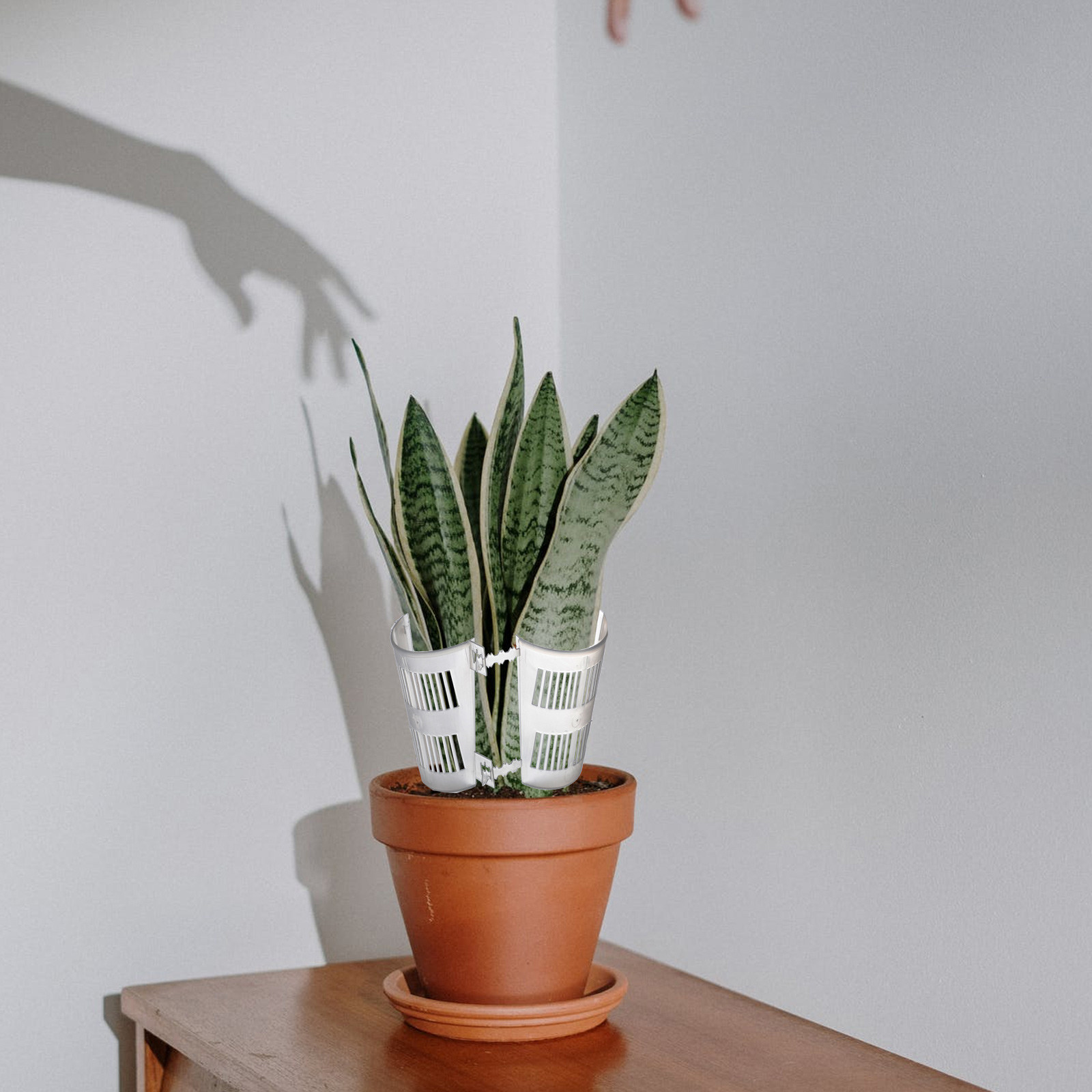 10 Stück Wurzelkontroll-Pflanz – Plant Pot Bewertung und Preis