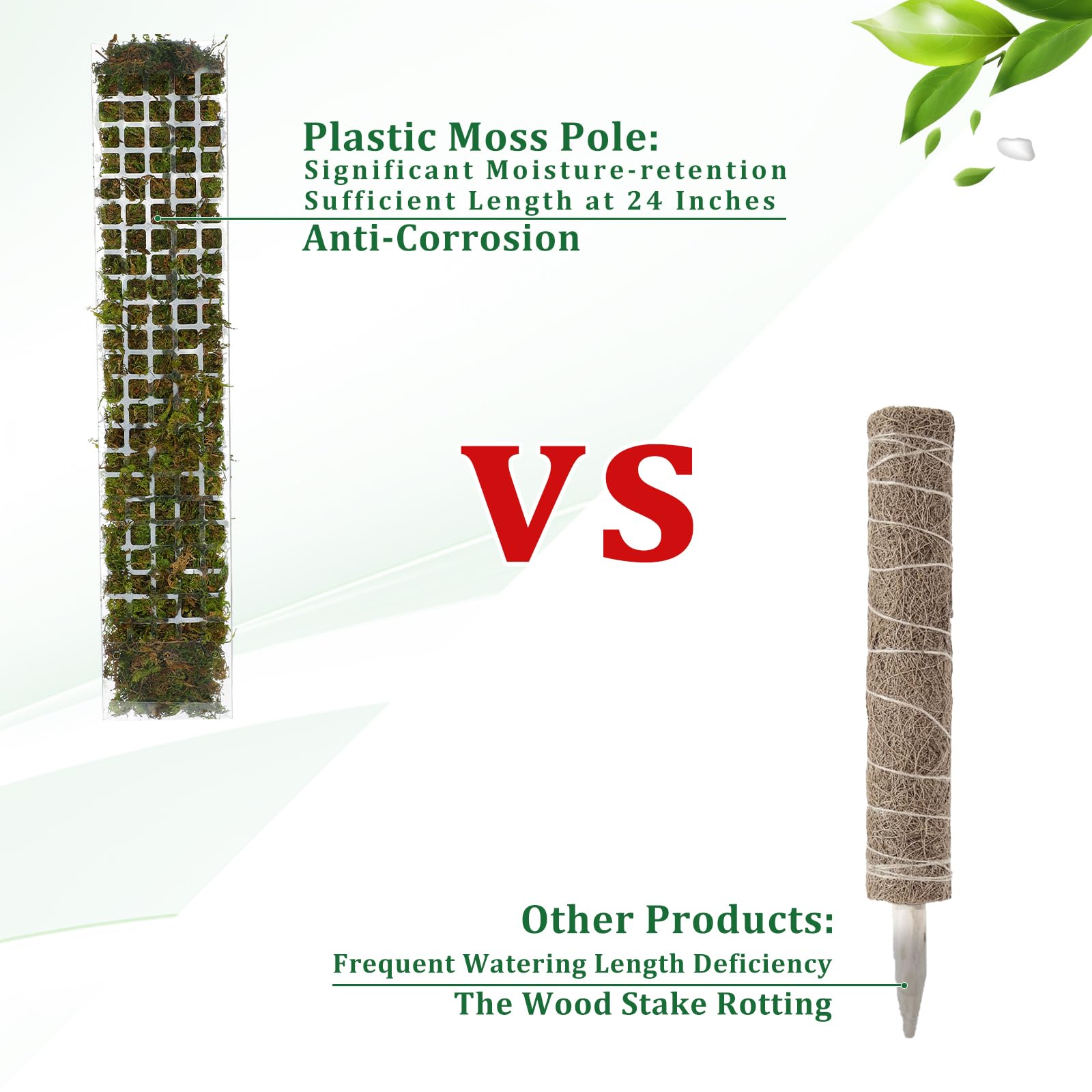 Moos Pole Kunststoff Pflanzens – Plant Support Stake Bewertung und Preis