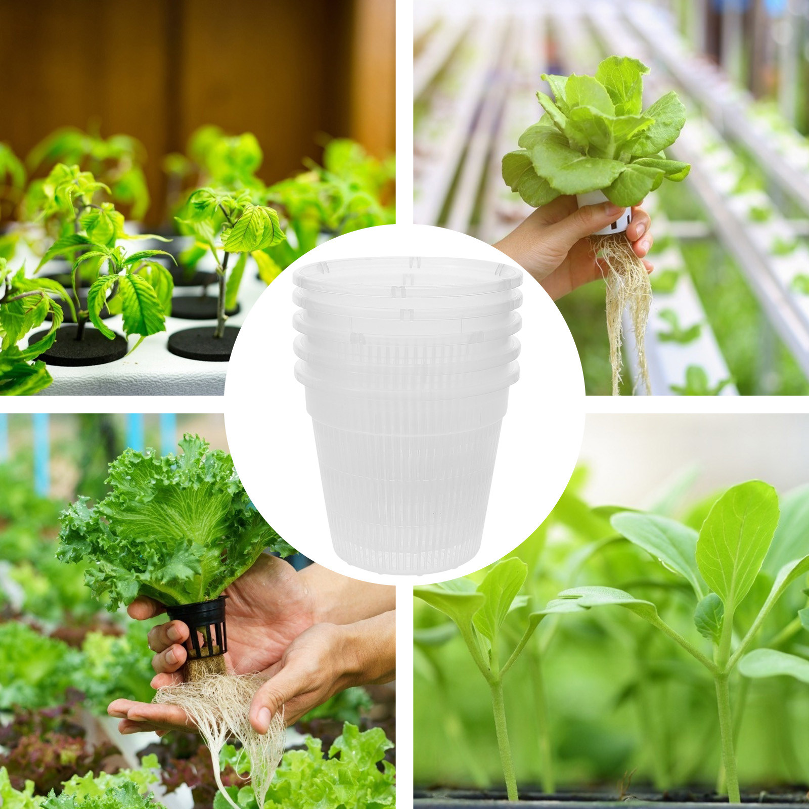 5 Stück Hydroponische Pflanzne – Plant Pot Bewertung und Preis