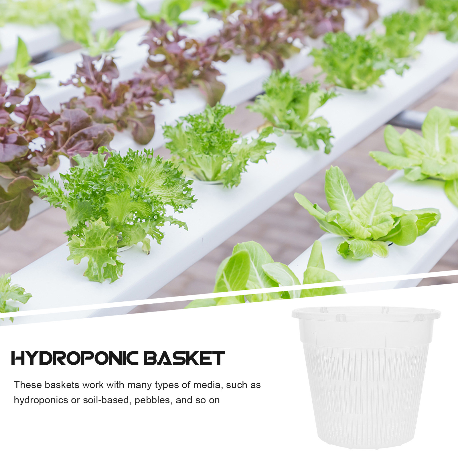 5 Stück Hydroponische Pflanzne – Plant Pot Bewertung und Preis