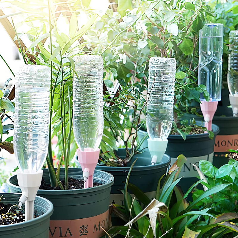 Automatisches Tropfbewässerung – Pothos Bewertung und Preis