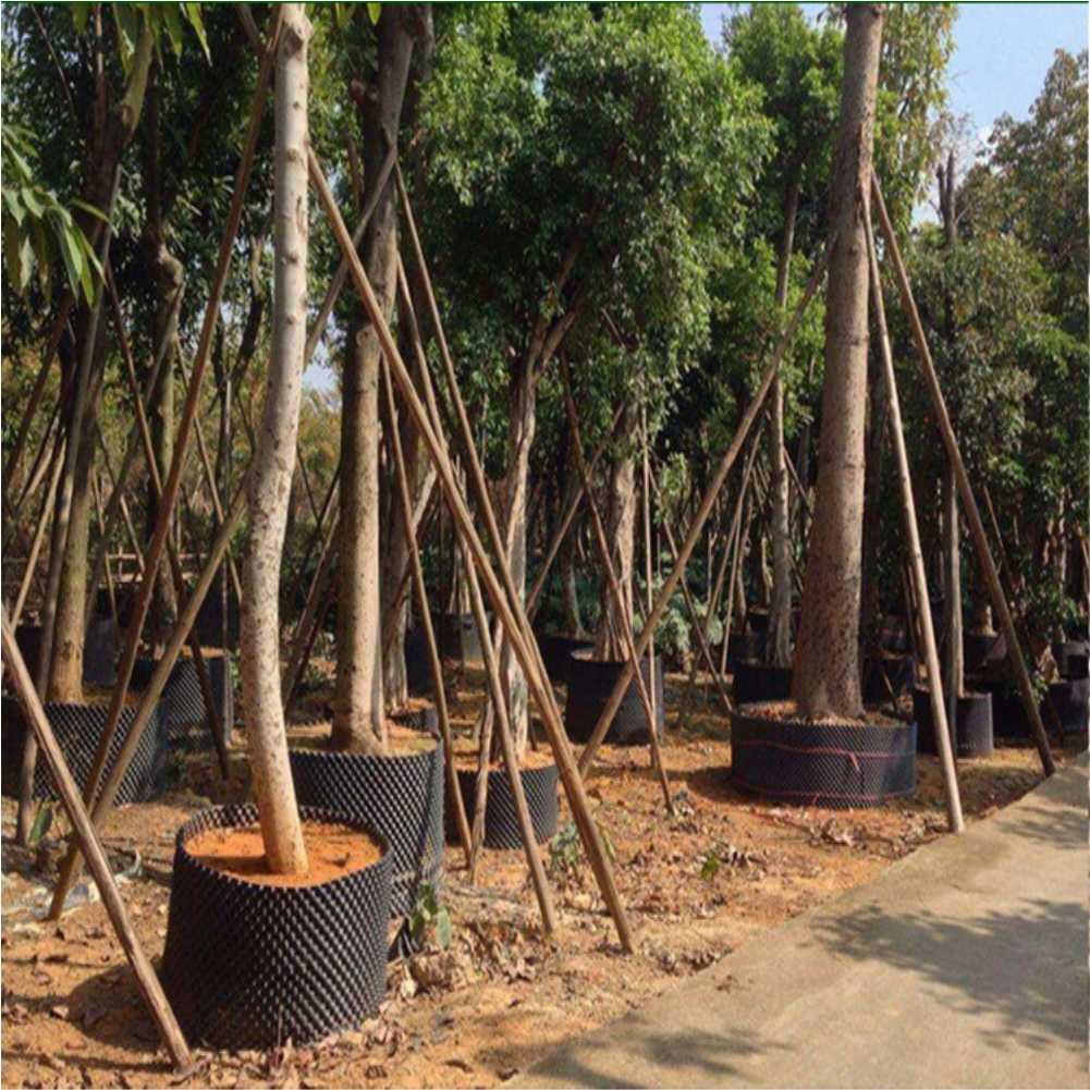 Pflanzentöpfe für den Anbau vo – Plant Pot Bewertung und Preis