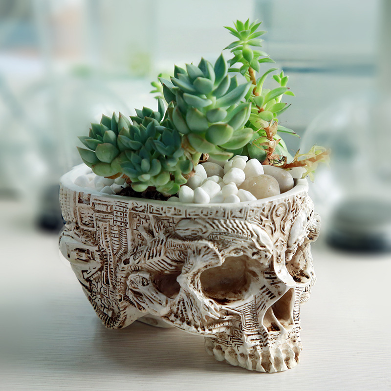 Halloween Totenkopf Blumentopf – Snake Plant Ceramic Bewertung und Preis
