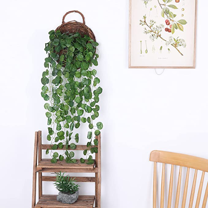 Künstliche Hängepflanzen aus R – Succulent Set Bewertung und Preis