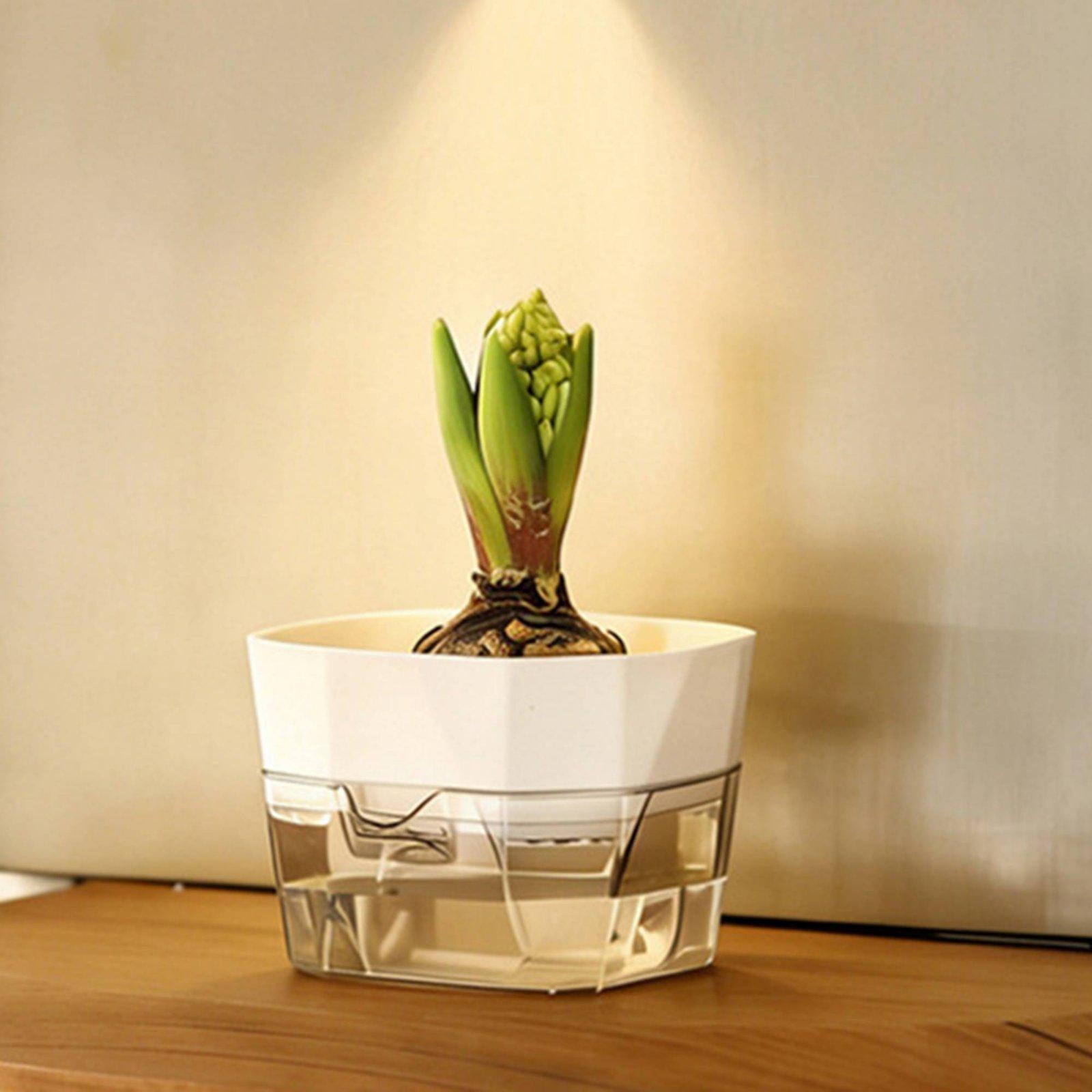 Hydroponische Vase mit Zwei Sc – Plant Pot Bewertung und Preis