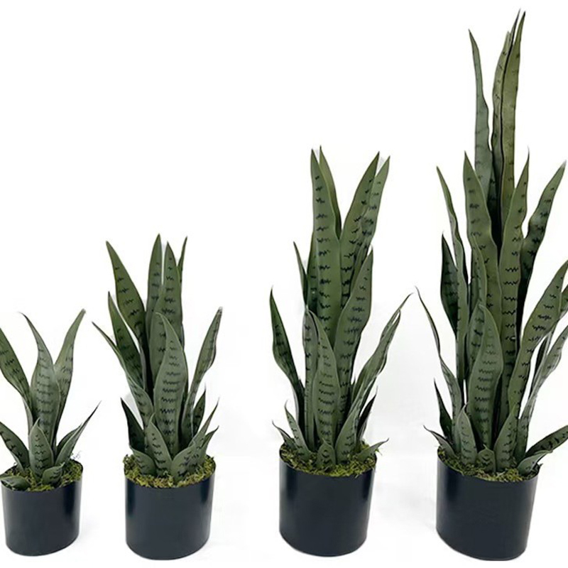 40-100cm Künstliche Sansevieri – Snake Plant Bewertung und Preis