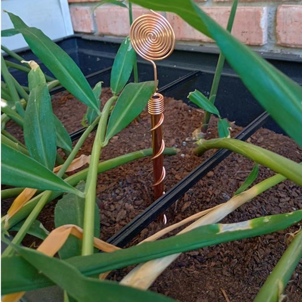 Spiralförmige Elektrokultur-Pf – Plant Support Stake Bewertung und Preis