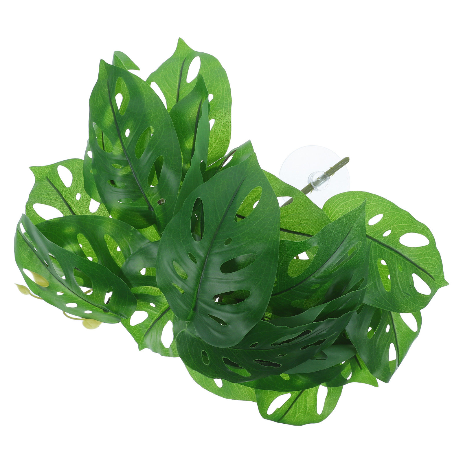 Reptilien-Habitat-Dekoration,  – Snake Plant Bewertung und Preis