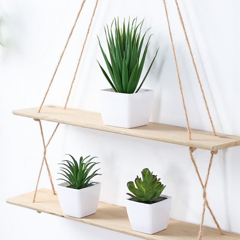 (Ein Satz mit 3 Stück) Simulie – Succulent Set Bewertung und Preis