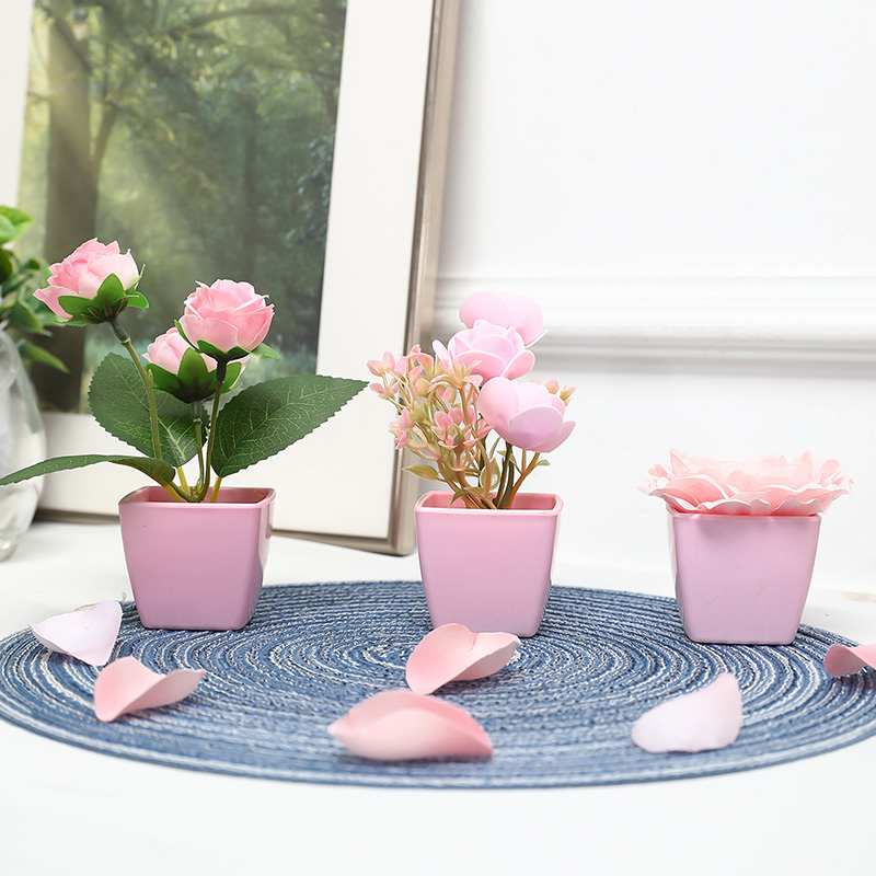 (Ein Satz mit 3 Stück) Simulie – Succulent Set Bewertung und Preis