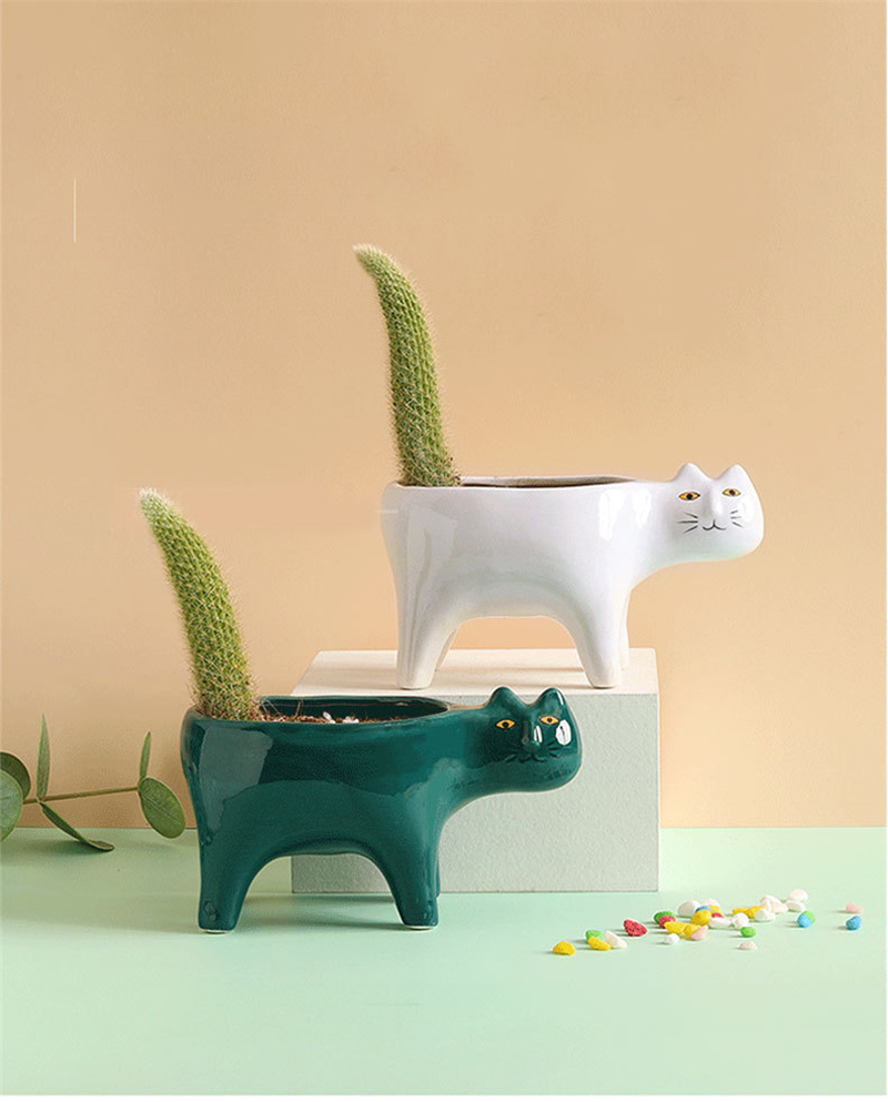 Süße Katze Keramik Garten Blum – Snake Plant Ceramic Bewertung und Preis