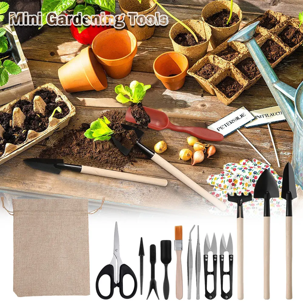 13 Stück Sukkulenten Werkzeugs – Succulent Set Bewertung und Preis