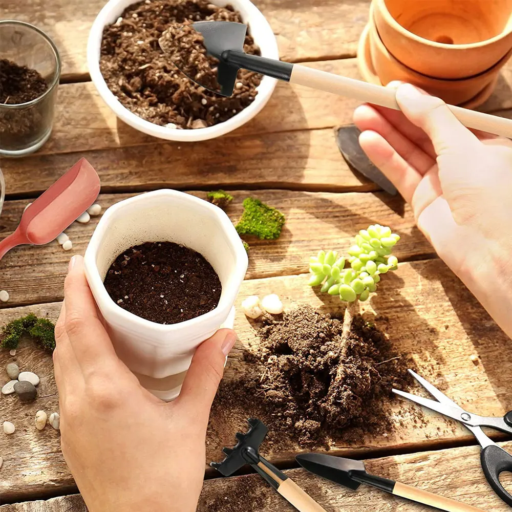 13 Stück Sukkulenten Werkzeugs – Succulent Set Bewertung und Preis