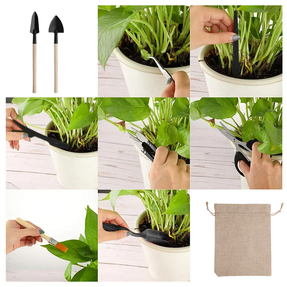 13 Stück Sukkulenten Werkzeugs – Succulent Set Bewertung und Preis