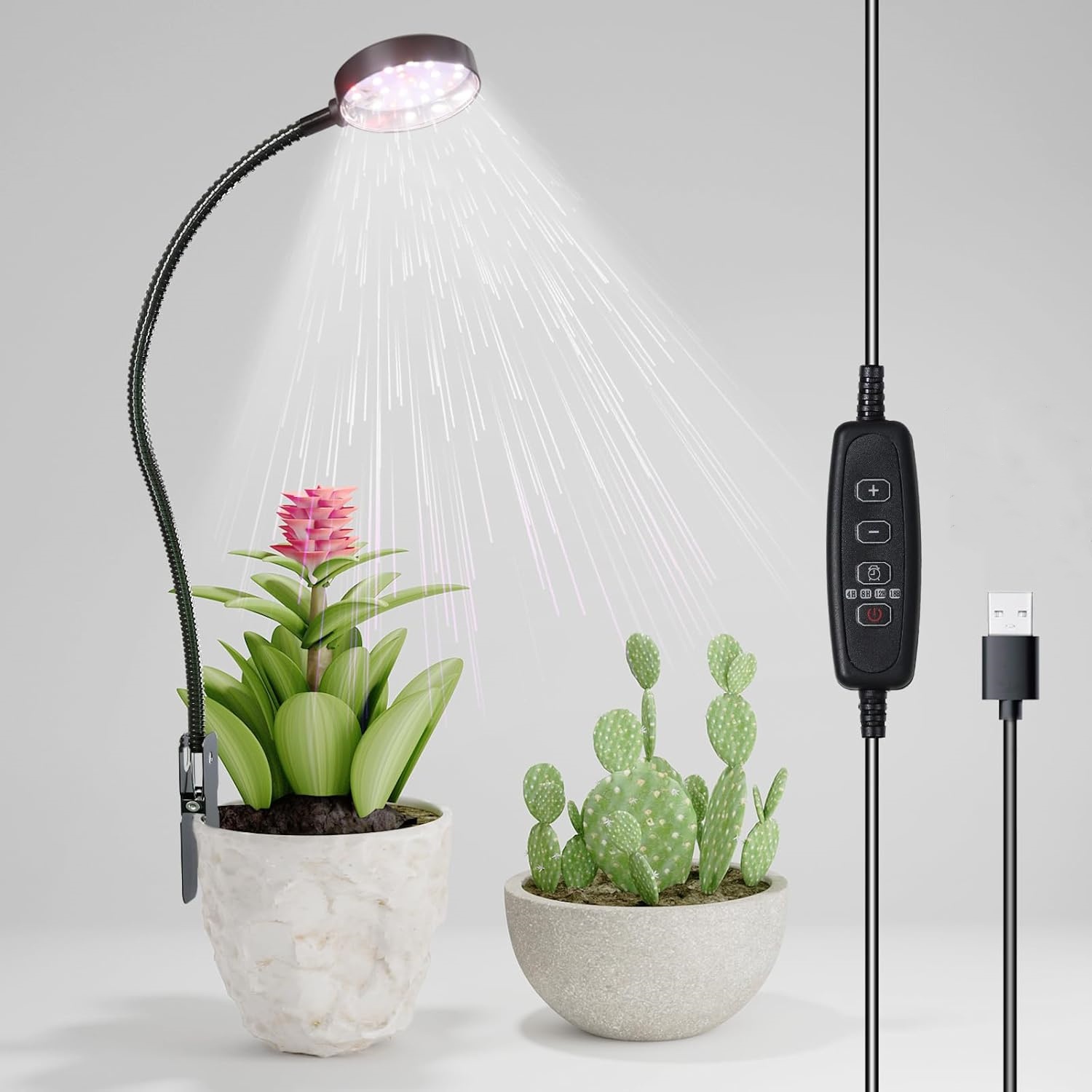 USB LED Pflanzenlampe 6000K Vo – Pothos Bewertung und Preis