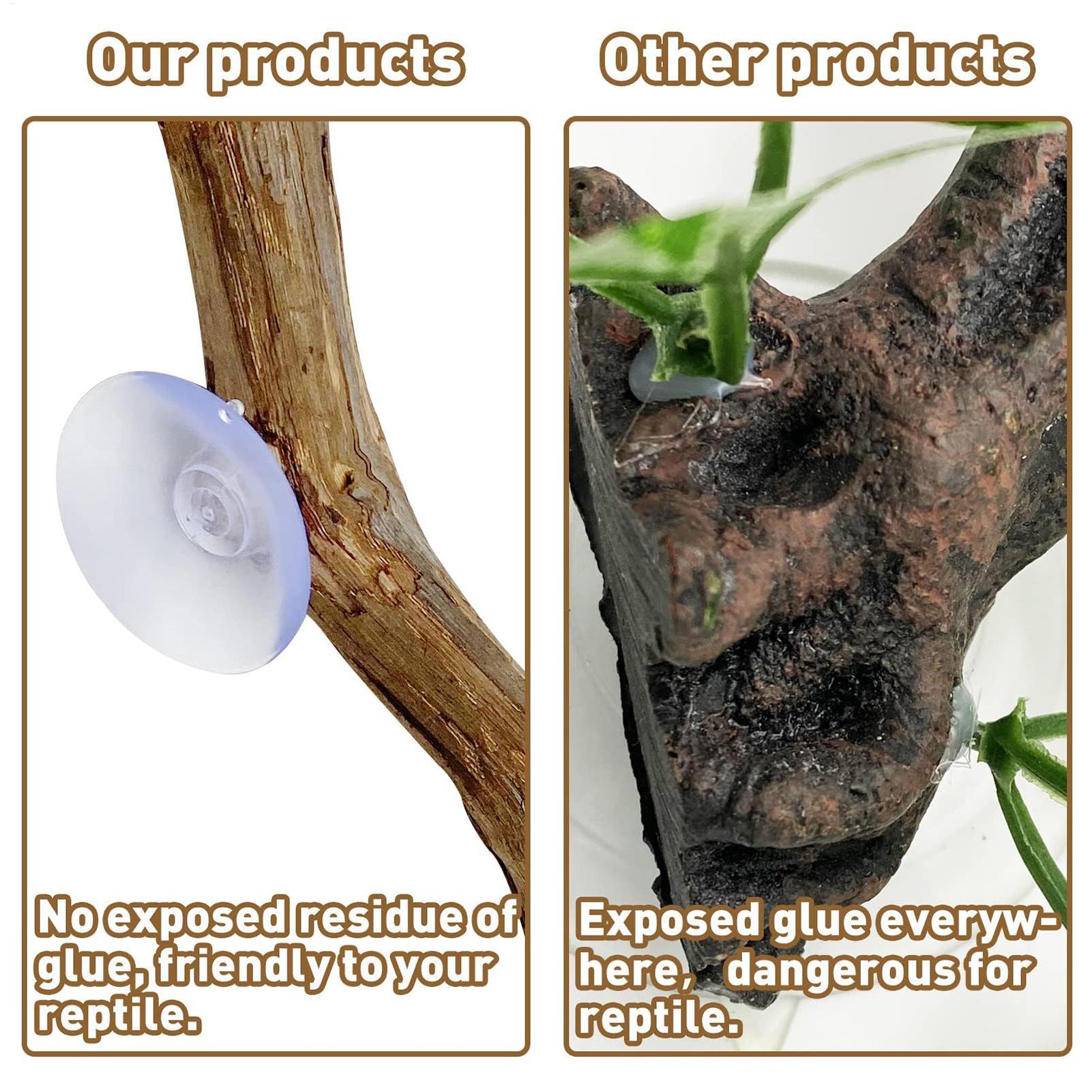 Reptilien-Kletterecke Rutschfe – Snake Plant Bewertung und Preis