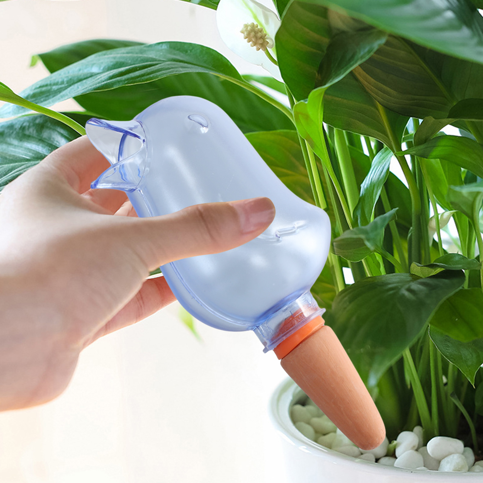 Automatische Pflanzen Tropf Be – Pothos Bewertung und Preis