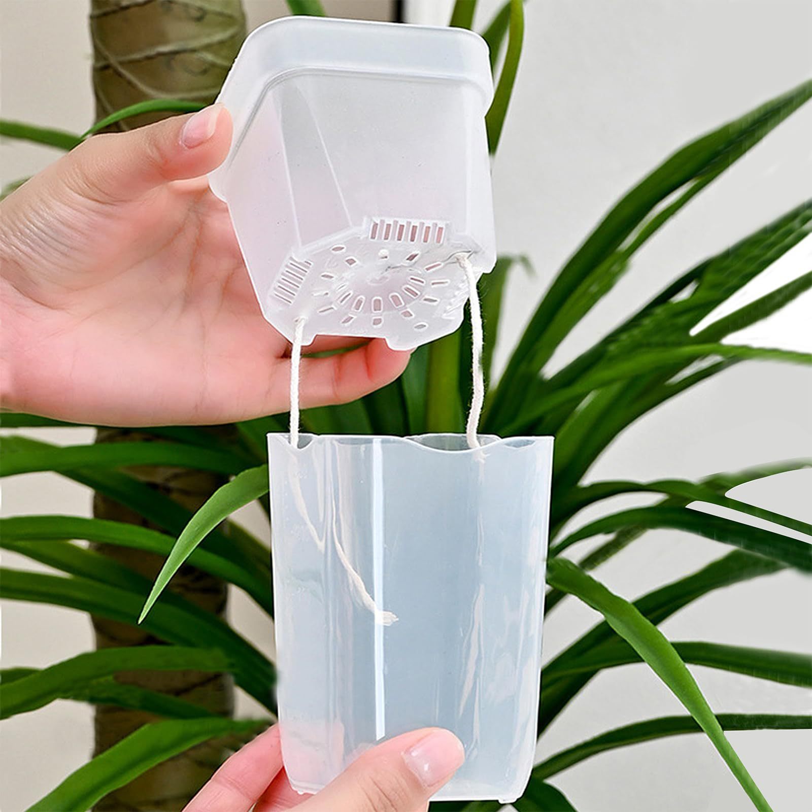 16/32er-Pack Selbstbewässernde – Pothos Bewertung und Preis