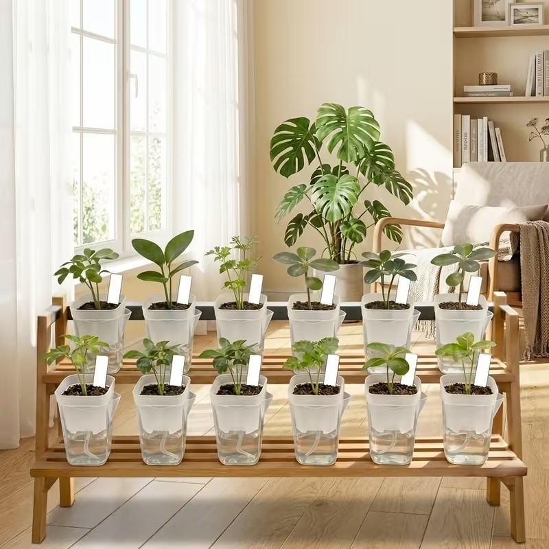 16/32er-Pack Selbstbewässernde – Pothos Bewertung und Preis