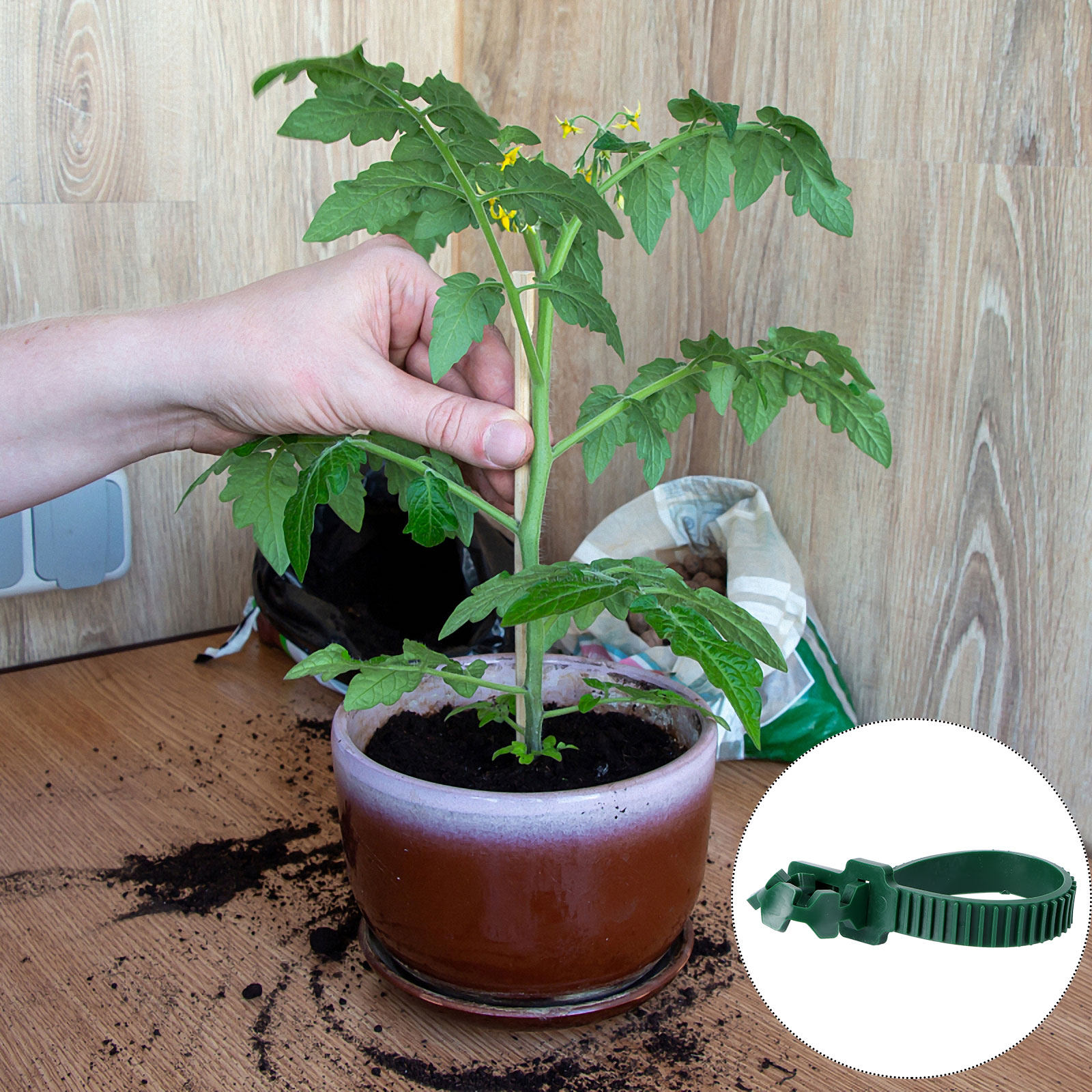 20 Stück Rankenbefestigungssch – Plant Support Stake Bewertung und Preis