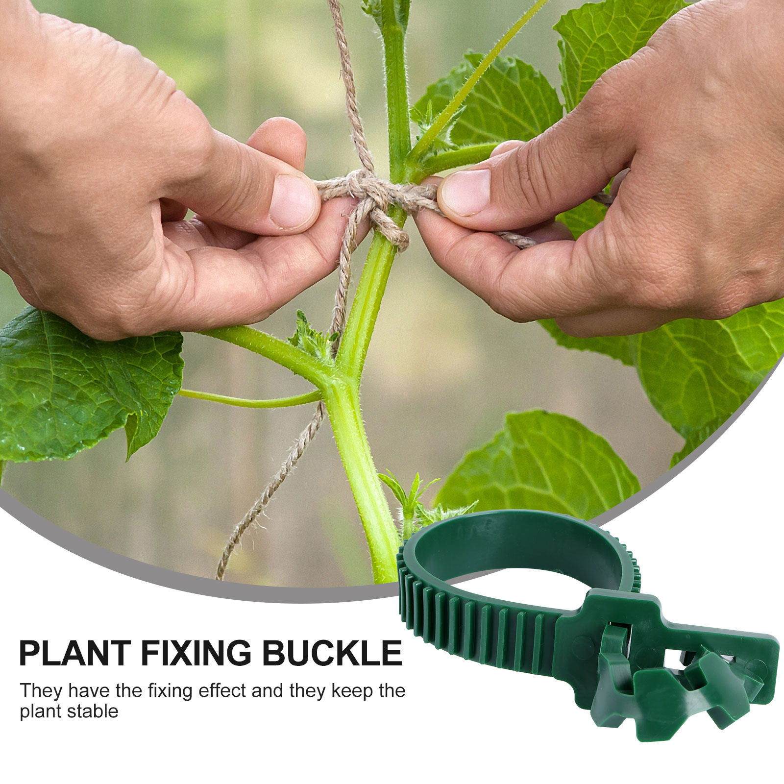 20 Stück Rankenbefestigungssch – Plant Support Stake Bewertung und Preis