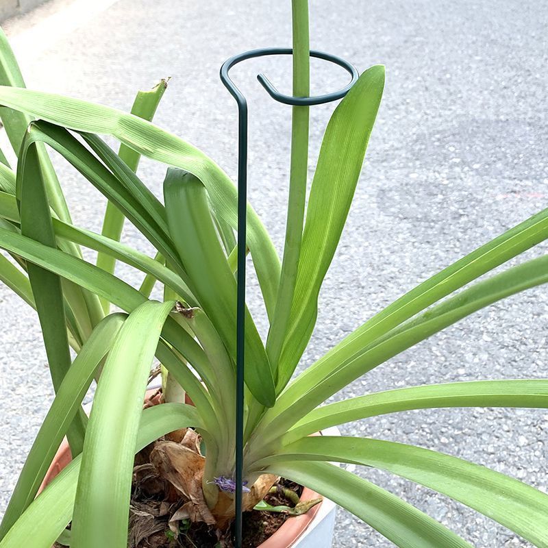 1-10 stücke Metall Einzigen St – Plant Support Stake Bewertung und Preis
