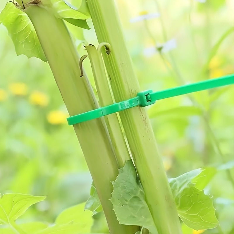 100 Stück Gartenkabelbinder, P – Plant Pot Bewertung und Preis