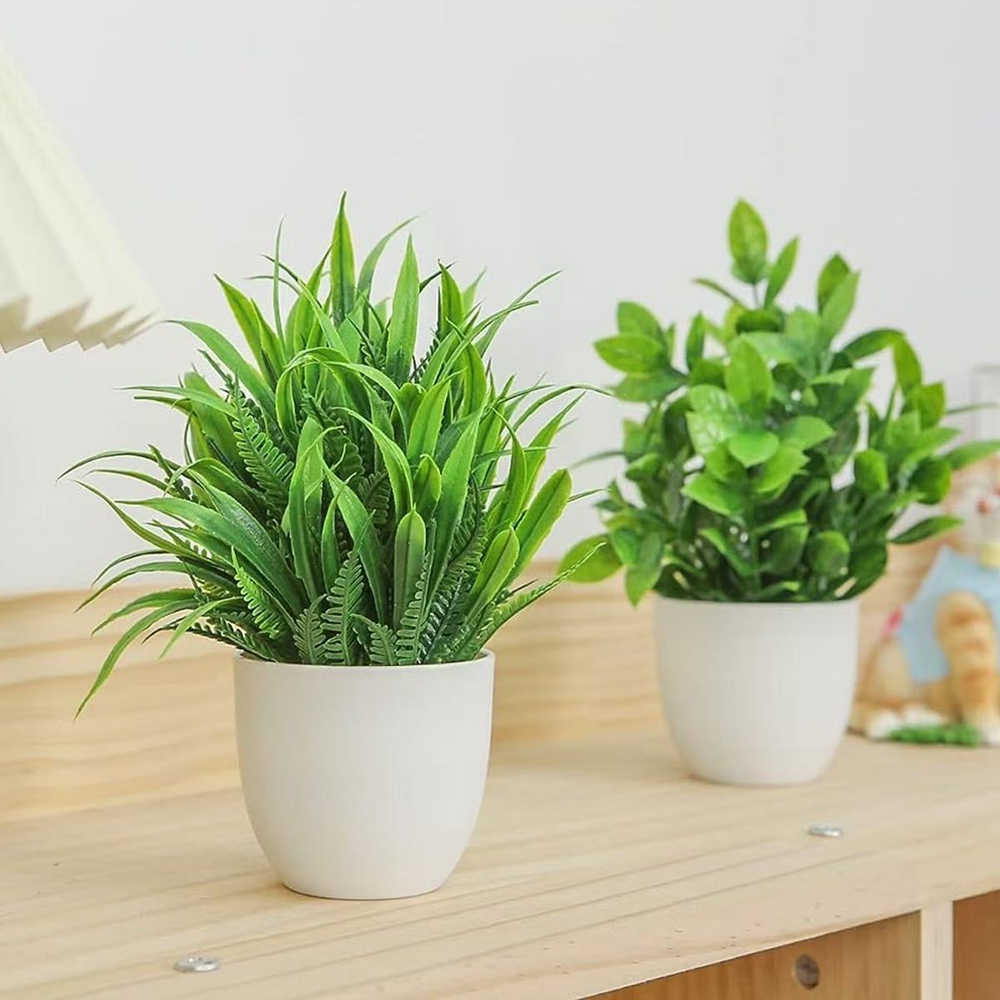 4-teiliges Set Mini Künstliche – Succulent Set Bewertung und Preis