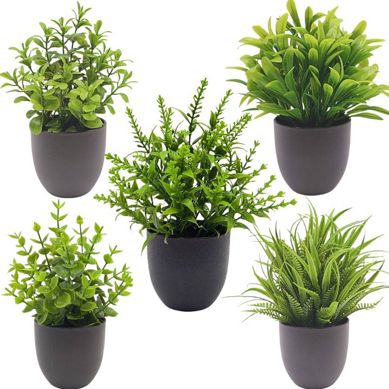 Simulierte Grüne Pflanze Bonsa – Succulent Set Bewertung und Preis