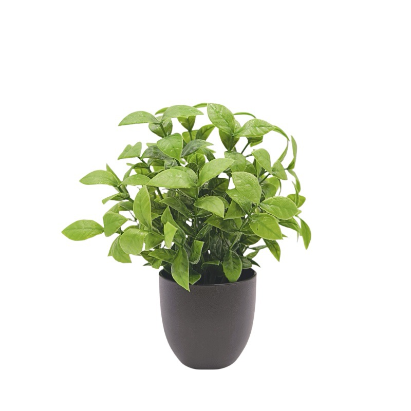Simulierte Grüne Pflanze Bonsa – Succulent Set Bewertung und Preis