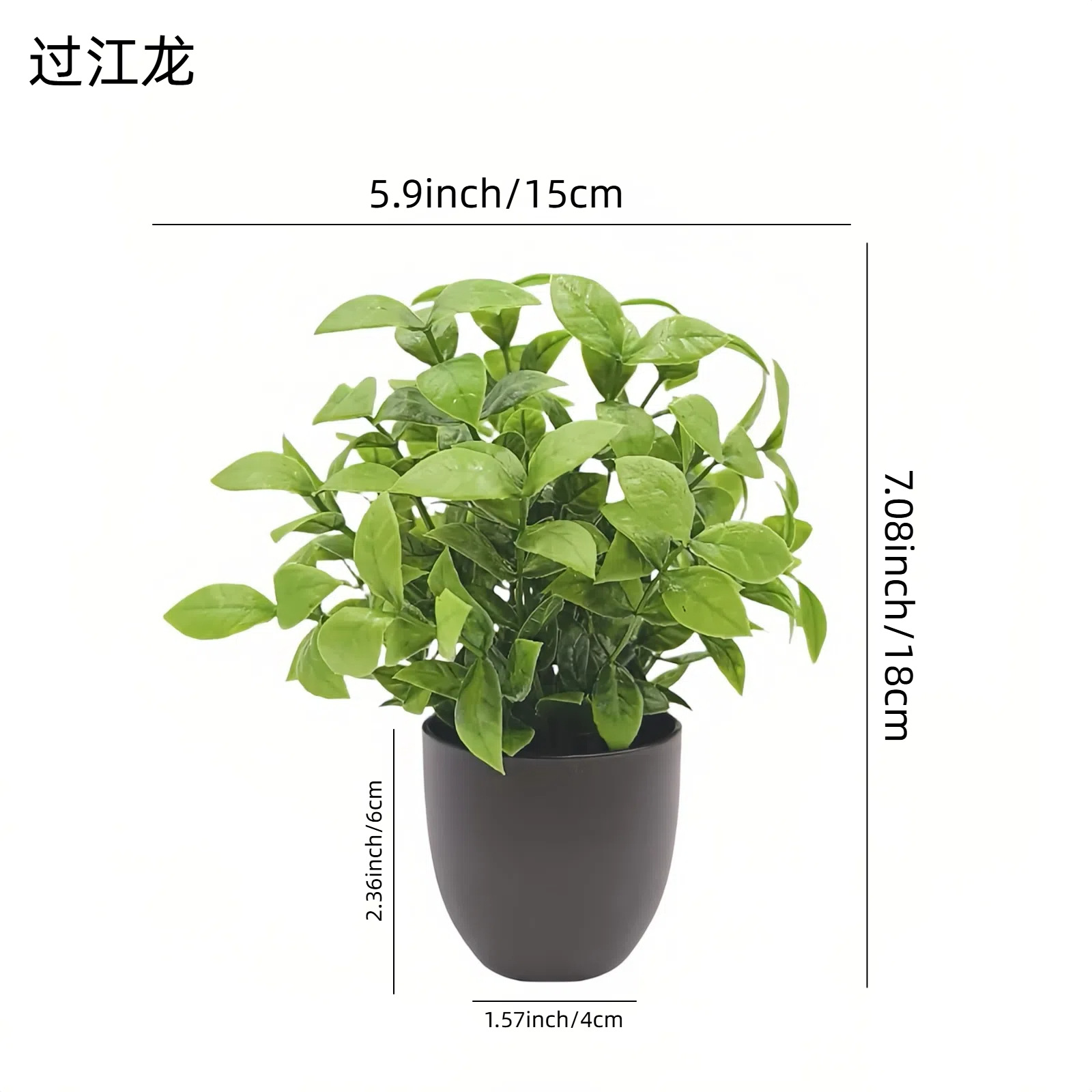 Simulierte Grüne Pflanze Bonsa – Succulent Set Bewertung und Preis