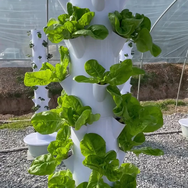 Mit Led Wachsen Licht Raum Bau – Plant Pot Bewertung und Preis