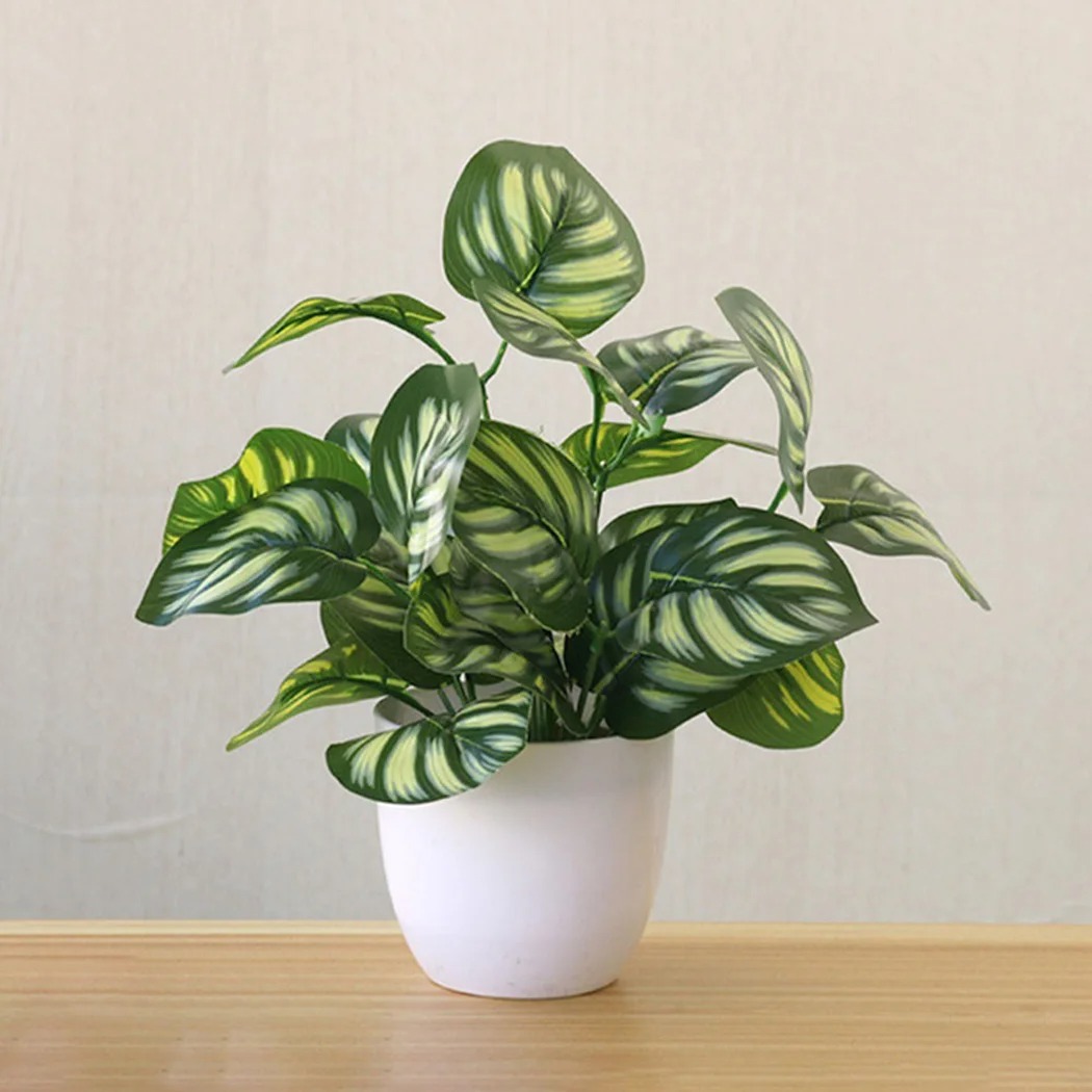 1PC Künstliche Laub Blumentopf – Snake Plant Bewertung und Preis