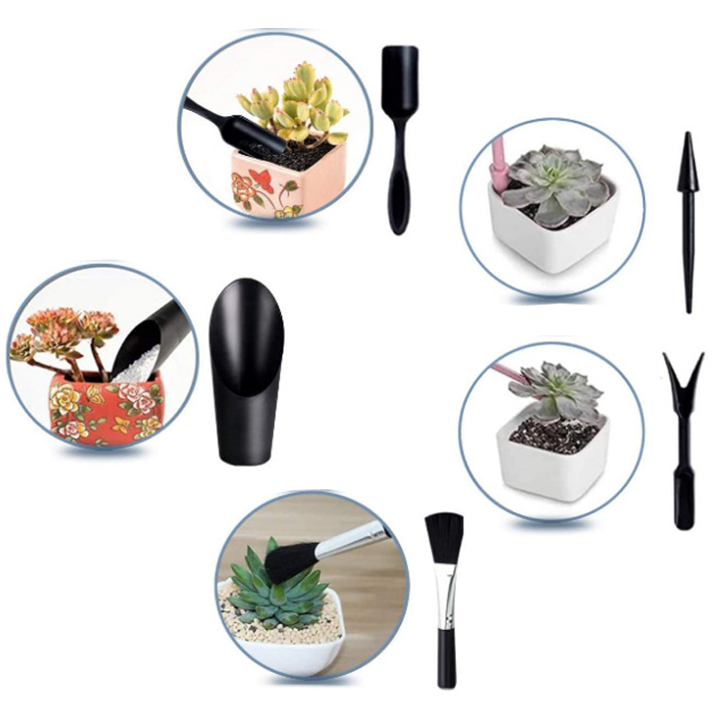 Mini-Gartenwerkzeug-Set, Etike – Succulent Set Bewertung und Preis