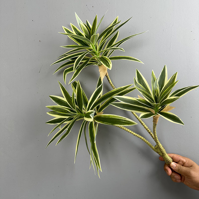 Simulierte Grünpflanzen mit 3  – Snake Plant Bewertung und Preis